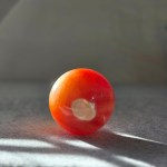 Sunlit Harmony Sphere - Side View Highlighting Carnelian's Vibrant Color