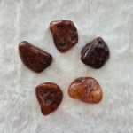 A collection of five polished Carnelian Agate Tumbled Stones, displaying rich red, brown, and orange hues with natural patterns.