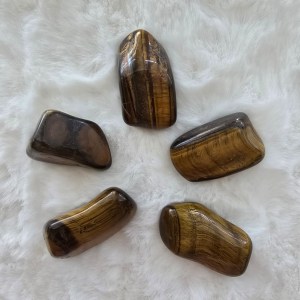 A collection of polished Tiger’s Eye Tumbled Stones, showcasing golden-brown bands with a silky luster.
